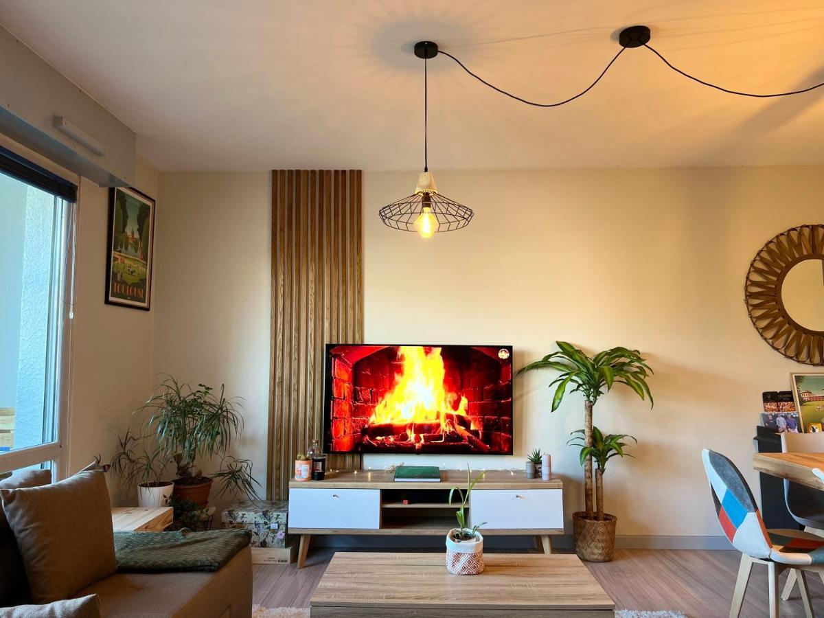 Apartament Le Zenith - T2 Chaleureux Et Lumineux Tuluza Zewnętrze zdjęcie